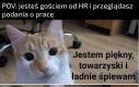 RIP ludzie bez doświadczenia
