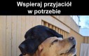 Przyjaźń to prawdziwy skarb