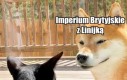 Nie ma co spraw komplikować