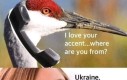 Pewnie żurawia zapuściła