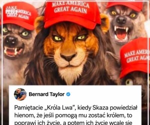 Niczego nie sugeruję