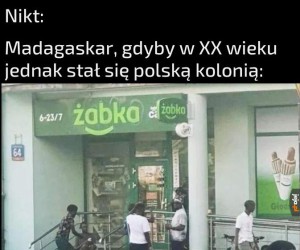 Egzotyczna Żabka