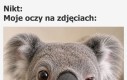 Chyba lustro mnie oszukuje