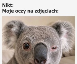 Chyba lustro mnie oszukuje