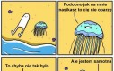 Przydałoby się towarzystwo