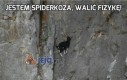 Jestem Spiderkoza, walić fizykę!