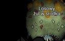 No japi*rdole, powinno wyjść inaczej