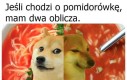 Ja też