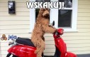 Wskakuj!