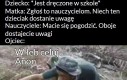 Tate zawsze wie, co zrobić