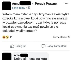 No a czemu nie?