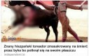 Żadnych peleryn!
