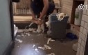 Kotek nabrudził to kotek posprząta