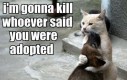 Zabiję każdego, kto twierdzi, że jesteś adoptowany