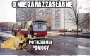Pawulonik