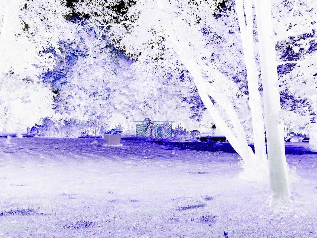 Negative