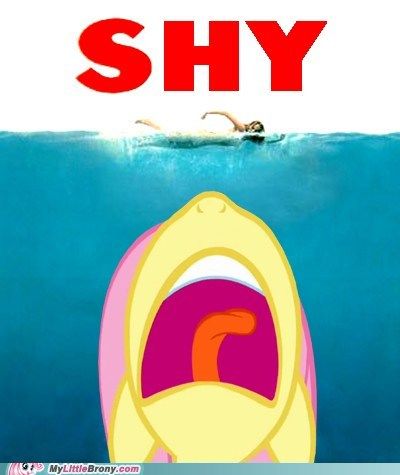 Shy