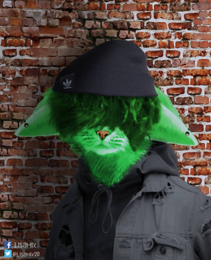 Zielony kot