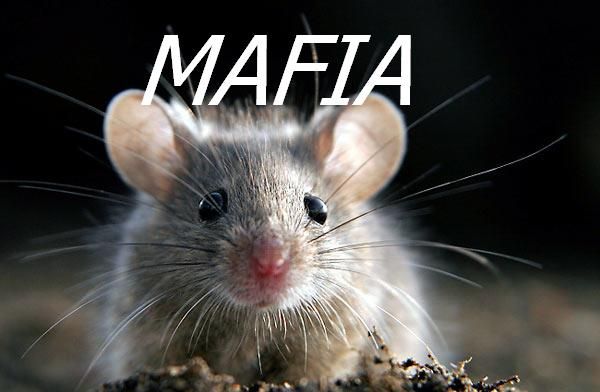 Mafia szarych myszek;D