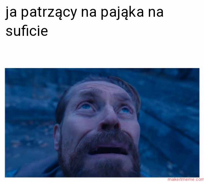 pająk na suficie