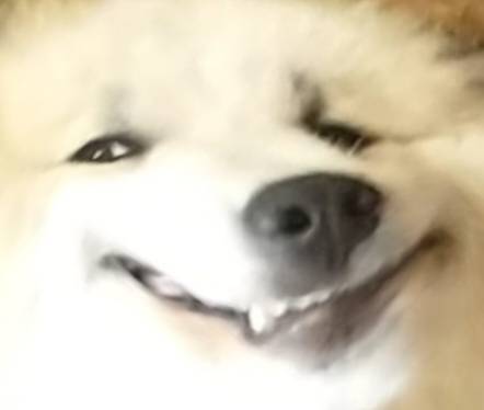 Tak