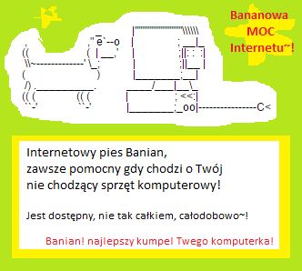 Wizytówka