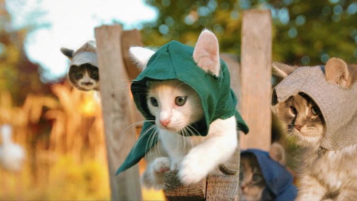 Gdy Koty przejmóją Assassin's Creed