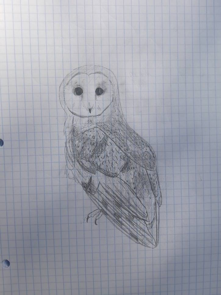 Pozdrawiam Dragona 👋