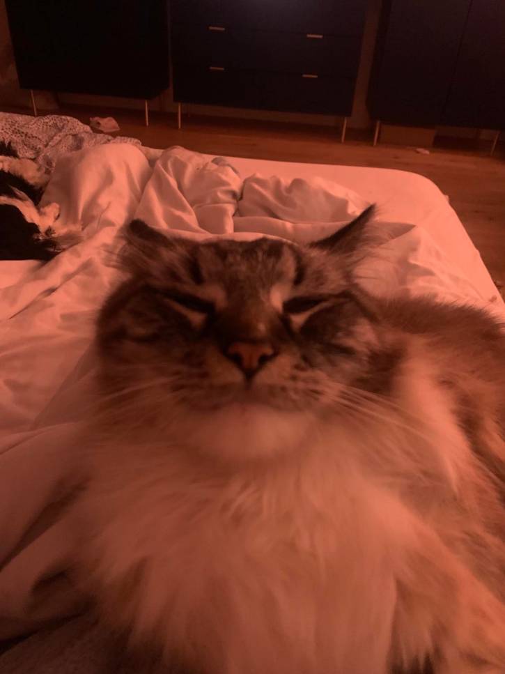 gruby