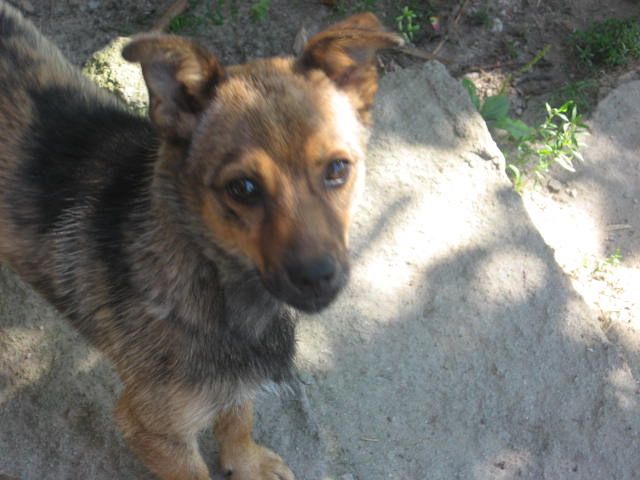 Rzezio