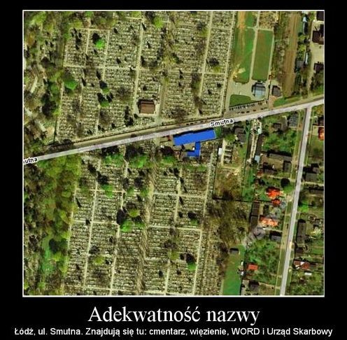 Nazwy