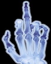 fuck