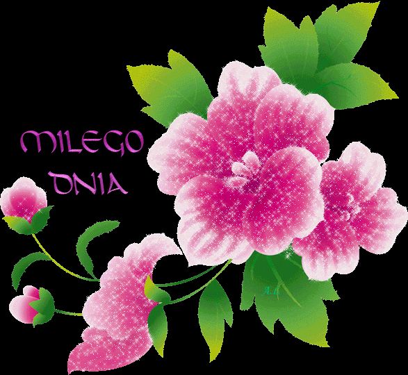 Miłego dnia