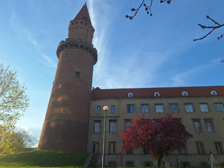 Wieża i drzewo, z lampą na środku