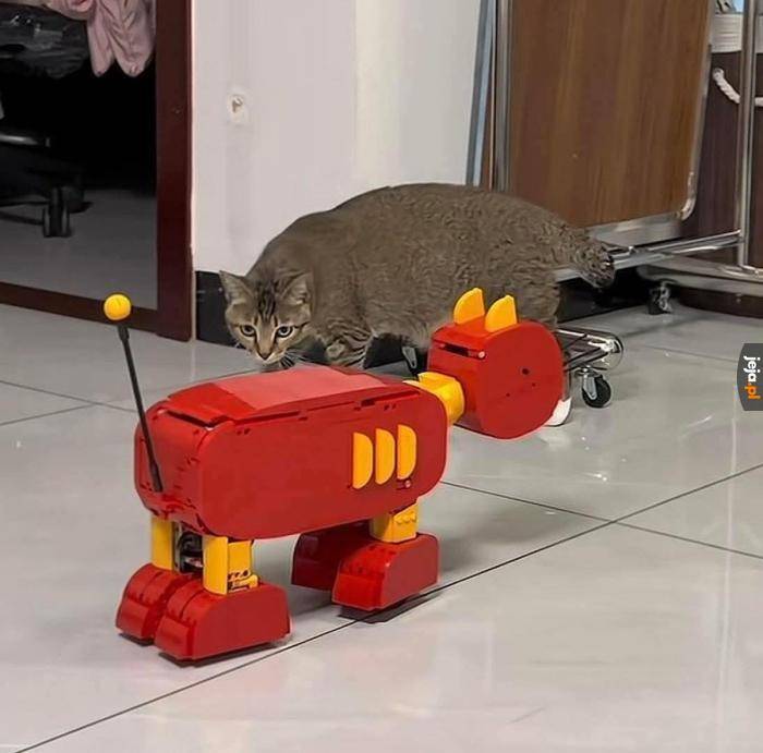 Cat-bot