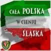 Cała Polska w cieniu Śląska