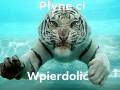 Tytułu nie ma tygrys zjadł