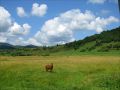Ukraina