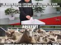 Wolne owieczki...