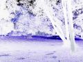 Negative