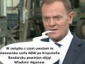 Donald półprofesjonalista
