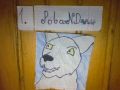 Fanart dla Poland Wolf