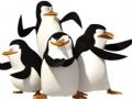Pingwiny Skipper, Kowalski, Szeregowy, Rico