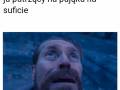 pająk na suficie
