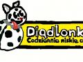 Logo Diadlonki