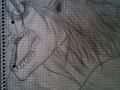 Shingeki No Kyojin Eren.