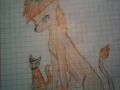 dla Rokitki x3