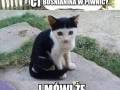 Nienawidzę gdy to się dzieje