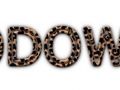 hsdgfvsd