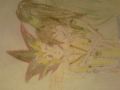 Yugi i Violie
